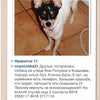 Фото Патрик & Мари