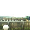 Cafe Bar