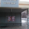 Фото Березка