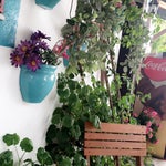Shop Cafe