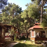 Paşa Kır Bahçesi