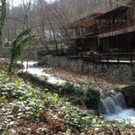 Vadi Restaurant