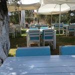Alaçatı Sakızlar Restaurant