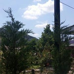 KöyEvi Kahvaltı Bahçesi