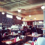 Open City
