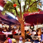 Berries in the Grove