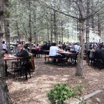 Çatı Cafe