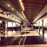 Airport international dallas