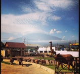 Cultural Heritage Center - Arusha