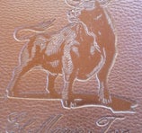 El Manso Toro - Pirque