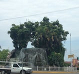 Ciudad Obregón - Ciudad Obregón