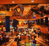 Livraria Cultura - Curitiba