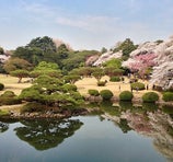 新宿御苑 (Shinjuku Gyoen) - Tokio