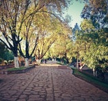 Parque Arroyo de la Plata - Guadalupe
