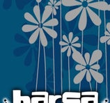 Barsa - Resistencia