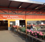 O'tera du Sart - Villeneuve-d'Ascq