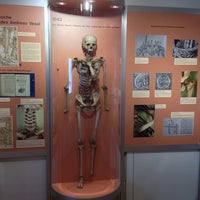Anatomisches Museum