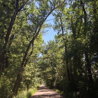 Gallatin River Lodge