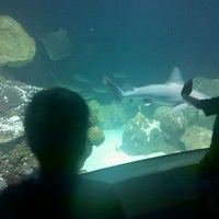 National Mississippi River Museum And Aquarium