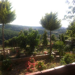 Doğa Gözleme & Manti Evi