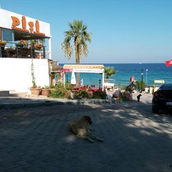 Pişi Kahvaltı&Restaurant