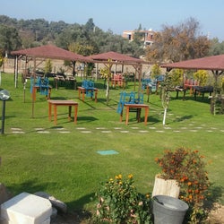 Kır Sofrası