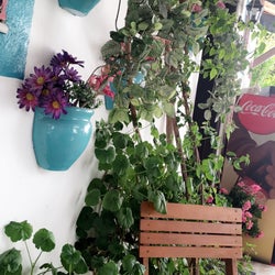Shop Cafe