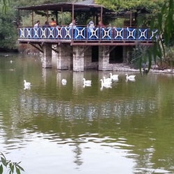 Değirmen Restaurant