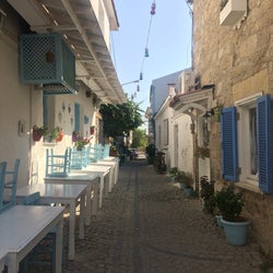 Sakız Reçeli - Asfalya
