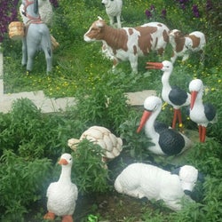 Öncü Köylüm
