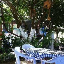 Deli Ali'nin Çiftliği