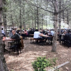 Çatı Cafe