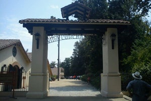 Viña Concha y Toro - Puente Alto