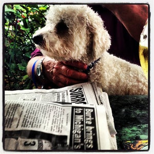 Photo of Georgie's Alibi