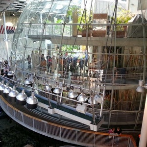 Photo of California Academy of Sciences