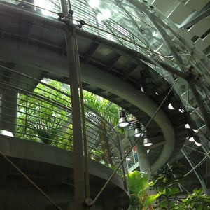 Photo of California Academy of Sciences