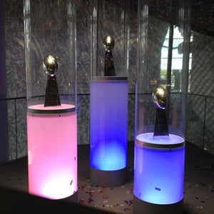image for 2014 Lamar Hunt AFC Championship Trophy Display