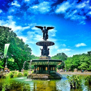 Photo of Central Park