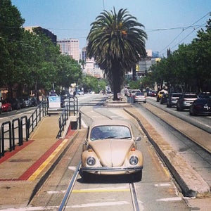 Photo of Bisou