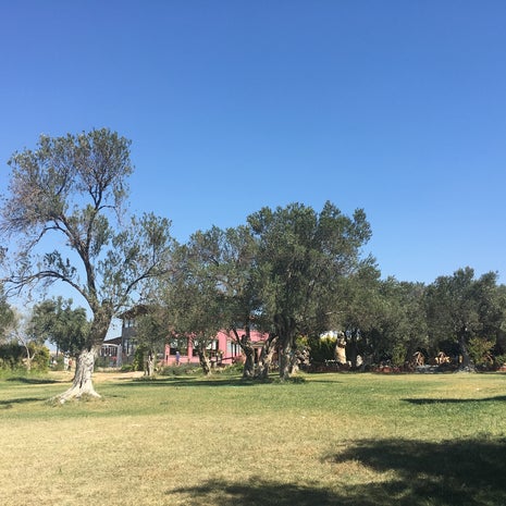 Bizim Köy Kahvaltı Salonu