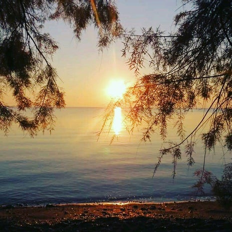 Öz Sar Gözleme-Kahvaltı