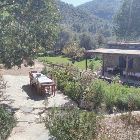 Etrim Doğa Kahvaltı sofrası