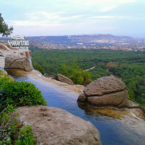Teras Piknik