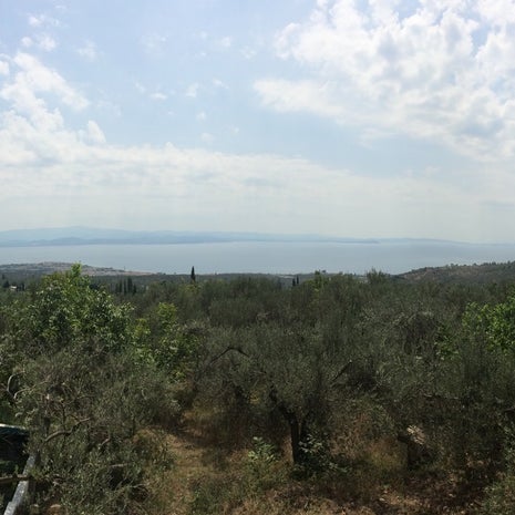 avcılar köyü dedepınar kahvaltı alabalık