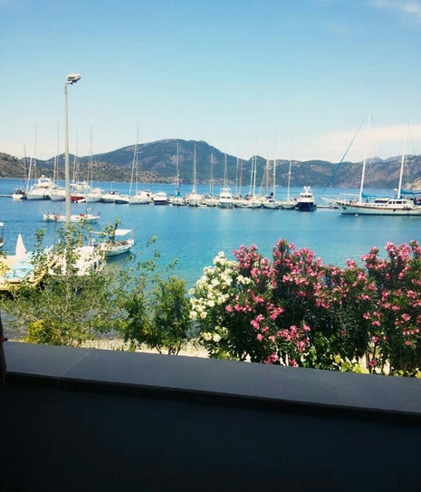 Sarmaşık Restaurant