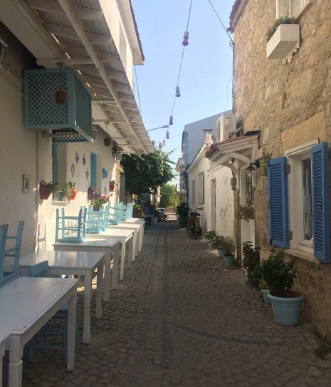 Sakız Reçeli - Asfalya