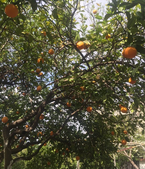 Kapadokya Kahvaltı Evi