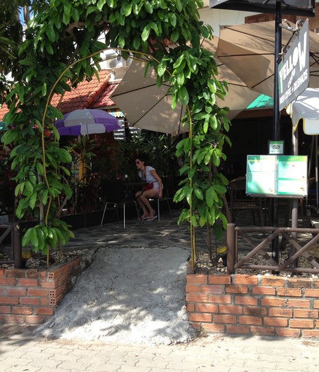 Jungle Yellow Cafe