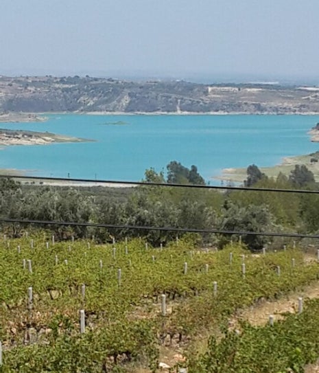 Kır bahçesi