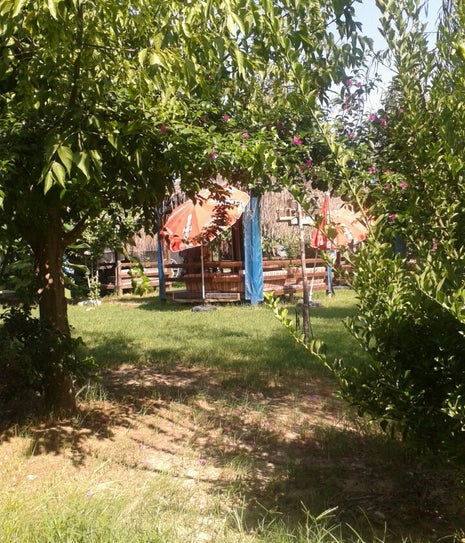 Ayşegül Hanımın Çiftliği